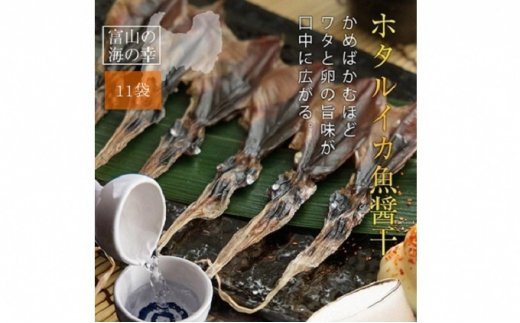 越中氷見屋　ホタルイカ 魚醤干し 18尾入り × 11袋　【魚貝類・加工食品・イカ・ホタルイカ】