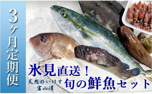 【配送地域限定】天然のいけす 富山湾 氷見漁港直送！ 旬の鮮魚セット 定期便3ヶ月連続お届け