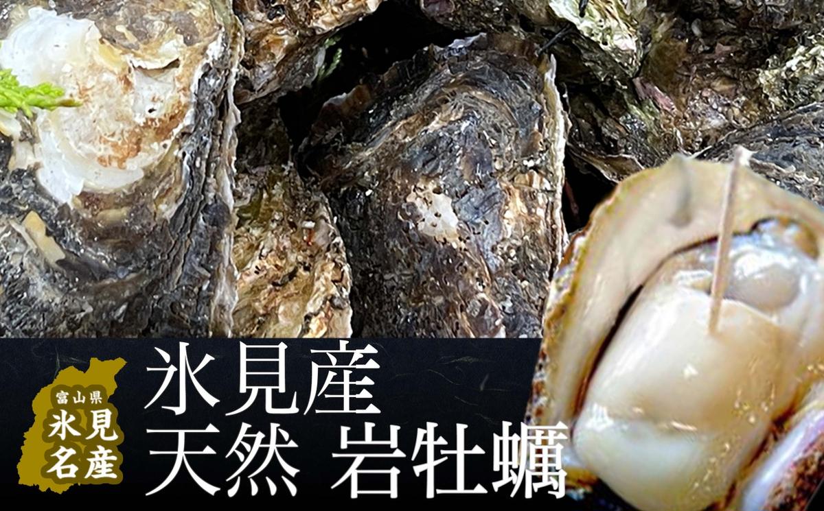 【夏限定】 氷見産 天然岩ガキ 3個 〈冷蔵〉