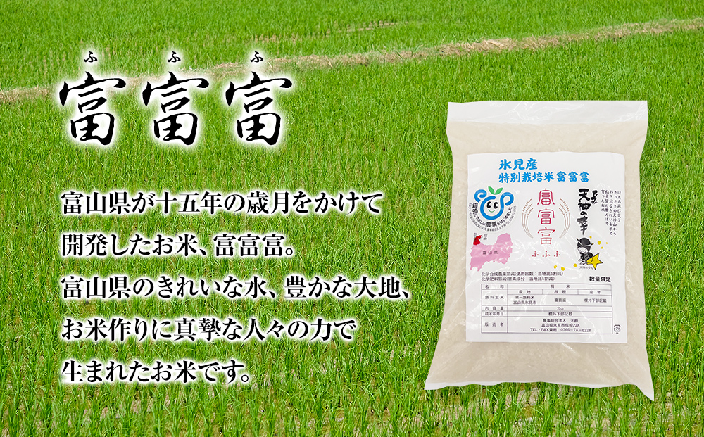 令和7年産 富山県産 特別栽培米 富富富 ２kg×２ 