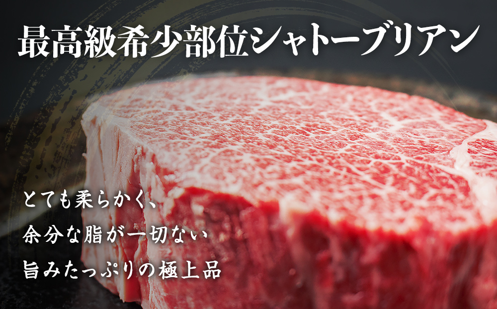氷見牛 シャトーブリアン 500g | シャトーブリアン 牛肉 ステーキ 国産 黒毛和牛 氷見 サイコロステーキ 稀少 牛肉