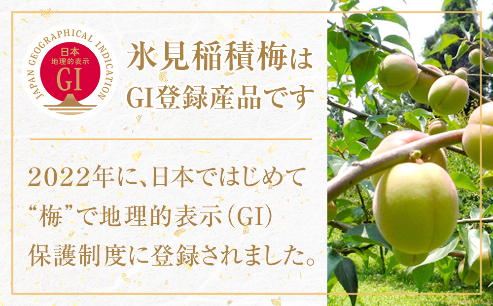 梅ドリンク氷見乙女（12本セット）　【果実飲料】