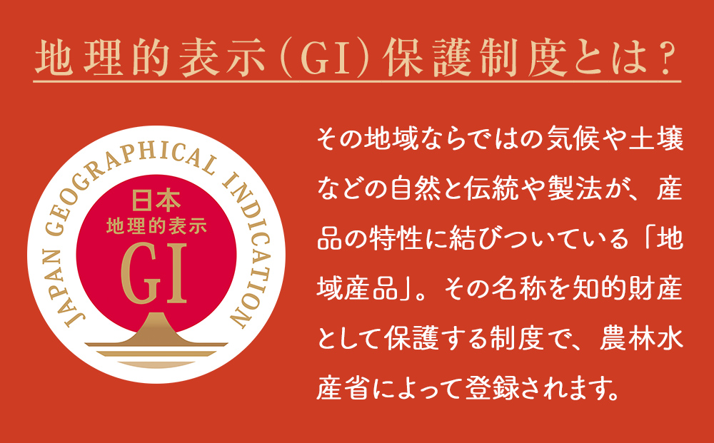 梅ドリンク氷見乙女（12本セット）　【果実飲料】