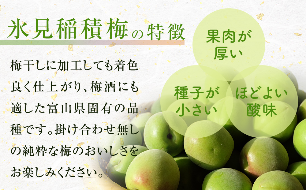 梅ドリンク氷見乙女（12本セット）　【果実飲料】
