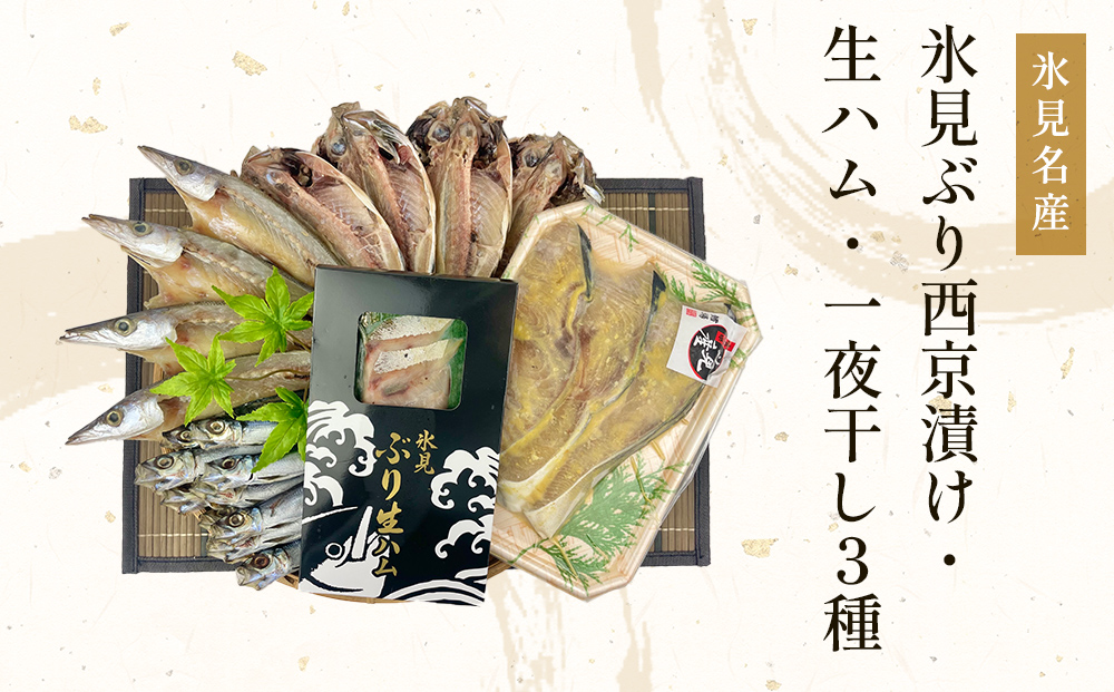 〈日本海氷見の幸５種〉 氷見ぶり「西京漬け」「生ハム」・一夜干し「氷見産３種」氷見のお魚５種味わいセット！ 魚貝類 加工食品 魚介類 干物 西京漬け 鰤ハム 一夜干し イワシ カマス アジ 富山湾 氷見