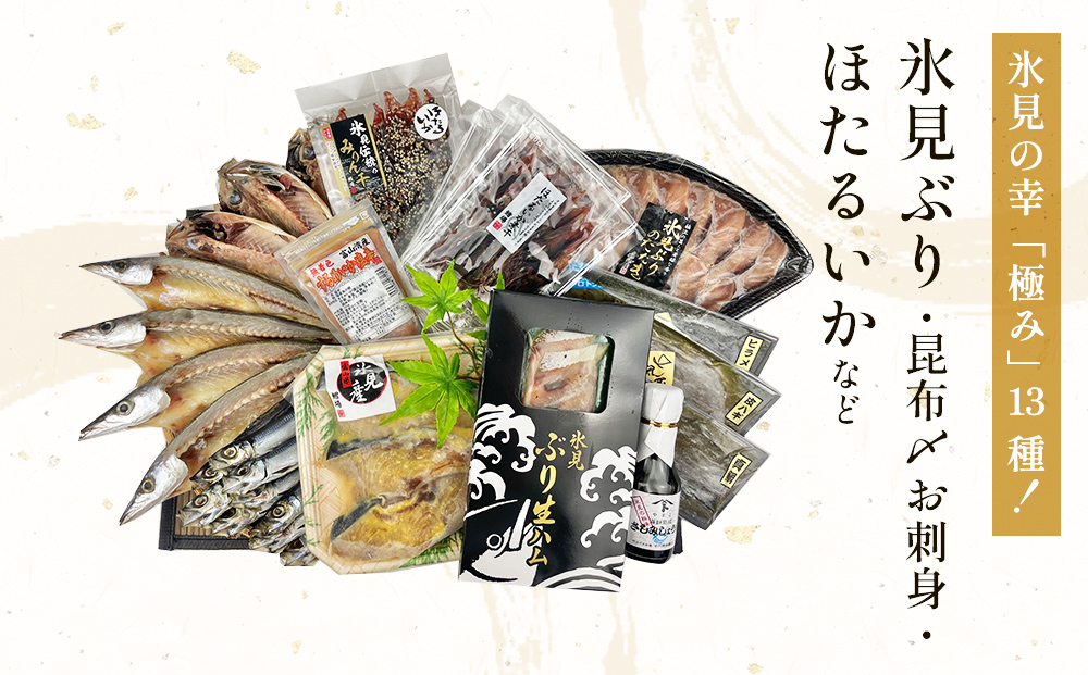 日本海氷見の幸「極み」13種！珍味３種と鱈場おすすめ氷見産一夜干し３種セット 魚貝類 加工食品 魚介類 ホタルイカ イカ 塩辛 みりん干し カマス アジ 一夜干し イワシ 富山湾 氷見