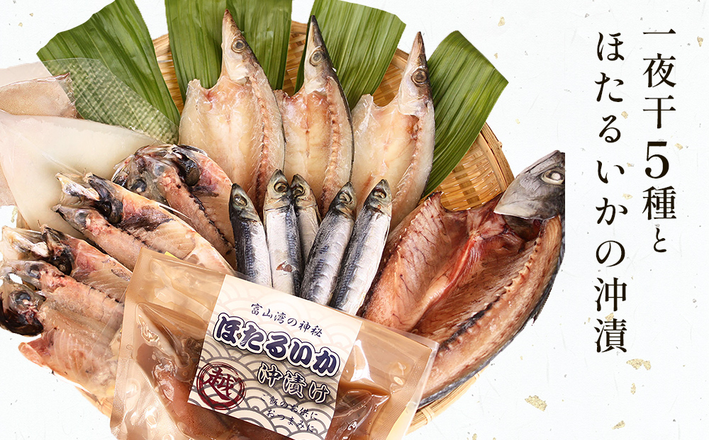 氷見 堀与 一夜干5種とほたるいかの沖漬 富山県 氷見市 干物 詰め合わせ 食べ比べ セット ホタルイカ