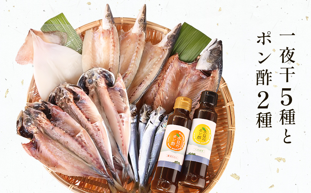 氷見　堀与の一夜干５種とポン酢２種のセット 富山県 氷見市 魚 干物 一夜干し ポン酢 柑橘 セット