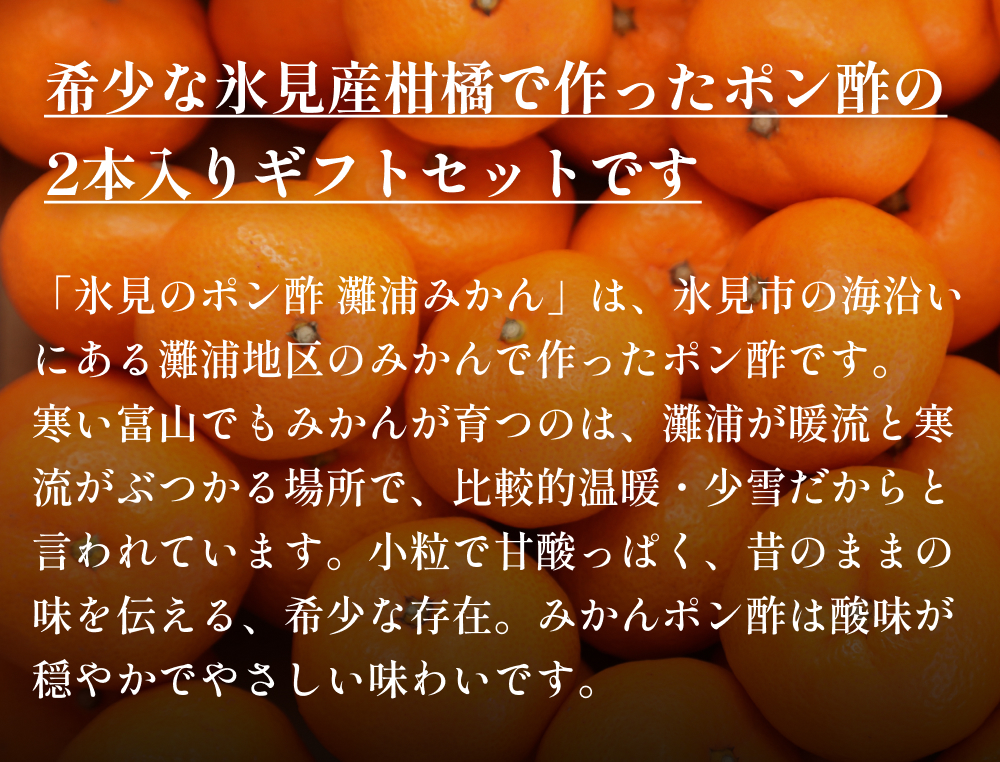 氷見のポン酢２本入りギフトセット  富山県 氷見市 ポン酢 ギフト プレゼント 柑橘 セット