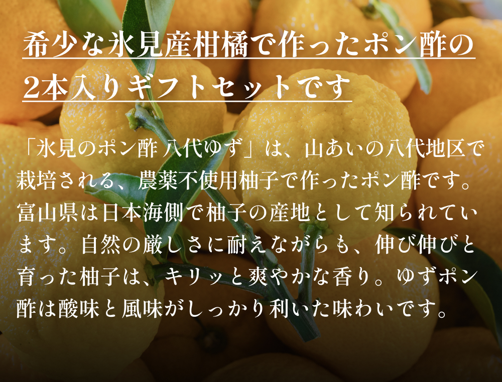 氷見のポン酢２本入りギフトセット  富山県 氷見市 ポン酢 ギフト プレゼント 柑橘 セット