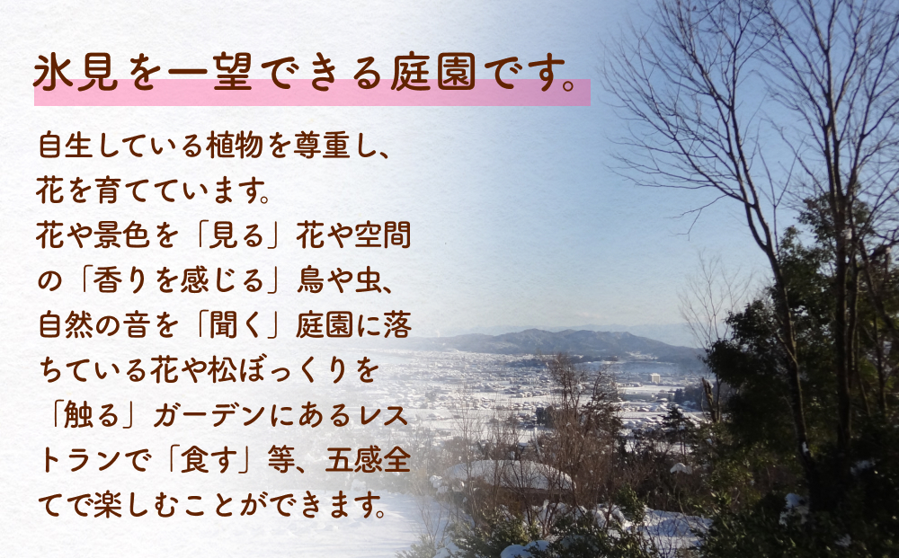 æ°·èŠããããŸã¬ãŒãã³å
¥å Žåžãã¢ãã±ããïŒå€§äºº2æïŒ å¯å±±ç æ°·èŠåž å
¥å Žåž ãã¢ è± ã¬ãŒãã³