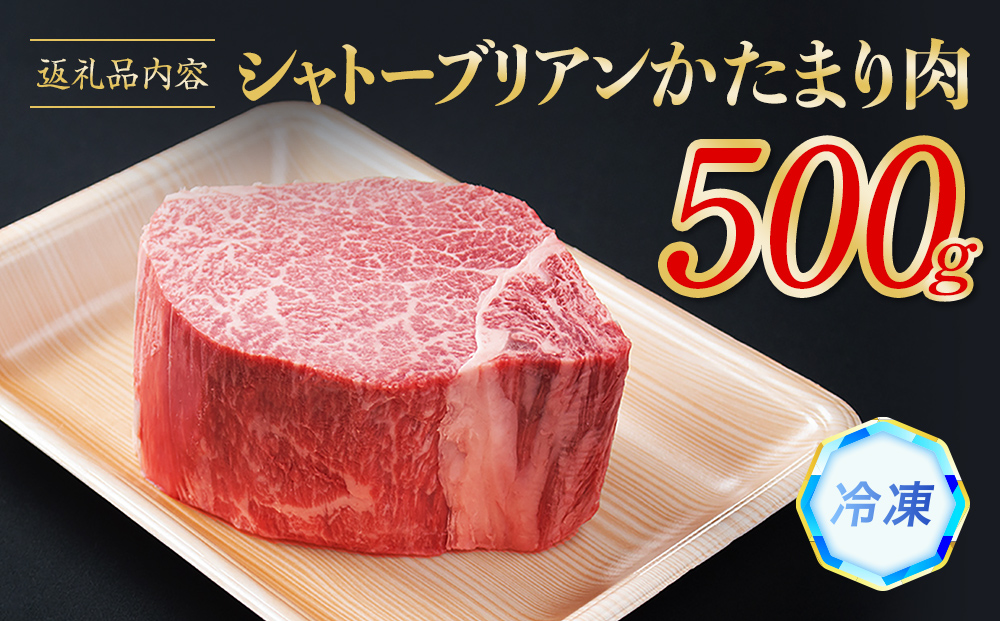 氷見牛 シャトーブリアン 500g | シャトーブリアン 牛肉 ステーキ 国産 黒毛和牛 氷見 サイコロステーキ 稀少 牛肉