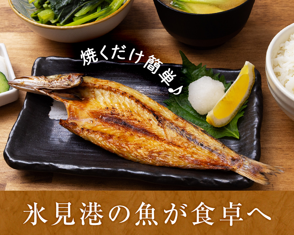 〈富山県氷見産〉 無添加！旨い一夜干し「かます」「サバ」「こずくら」３種と氷見産昆布〆お刺身入りセット！