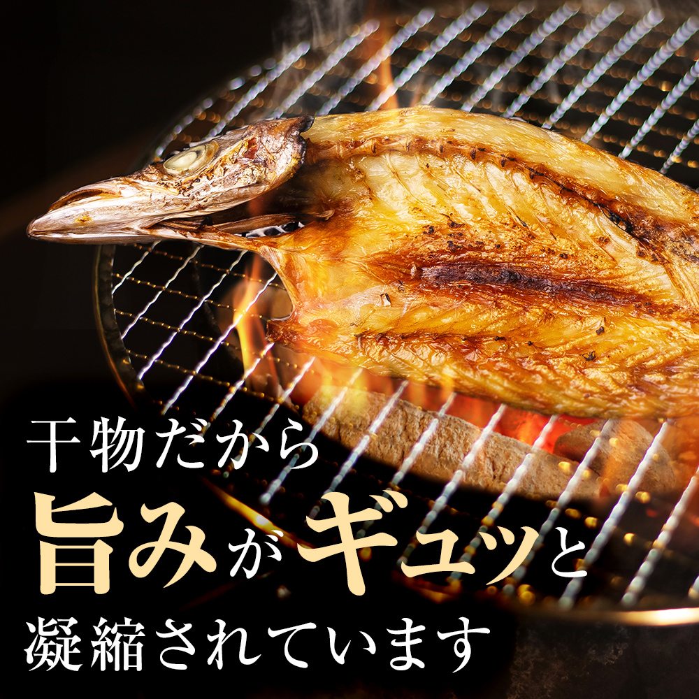〈隔月3回定期便〉 富山県氷見尽くし！「氷見ぶり」「氷見産干物」「氷見産昆布〆お刺身」など氷見の旨いもんが10種！