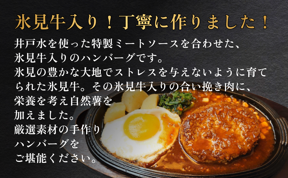ひみハンバーグ 20個  ソース付き | ミートソース 氷見牛 ブランド牛 国産 柔らか ハンバーグ 湯煎 冷凍 おかず 惣菜 温めるだけ 簡単調理 お取り寄せ 小分け 20個 富山 氷見