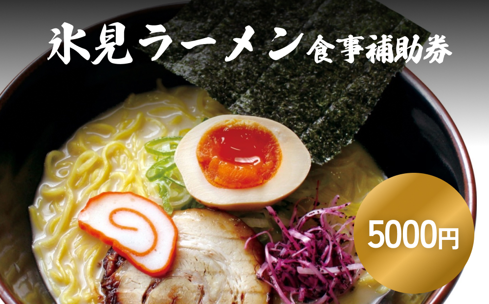 氷見ラーメン 氷見本店 食事補助券 5,000円分 富山県 氷見市 ラーメン 観光 ランチ 食事 ご当地 食事券 クーポン チケット