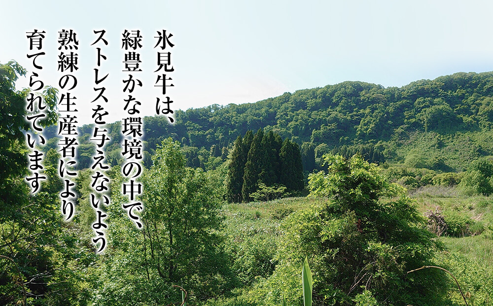 A4ランク以上！氷見牛のももを使ったサイコロステーキ2390g