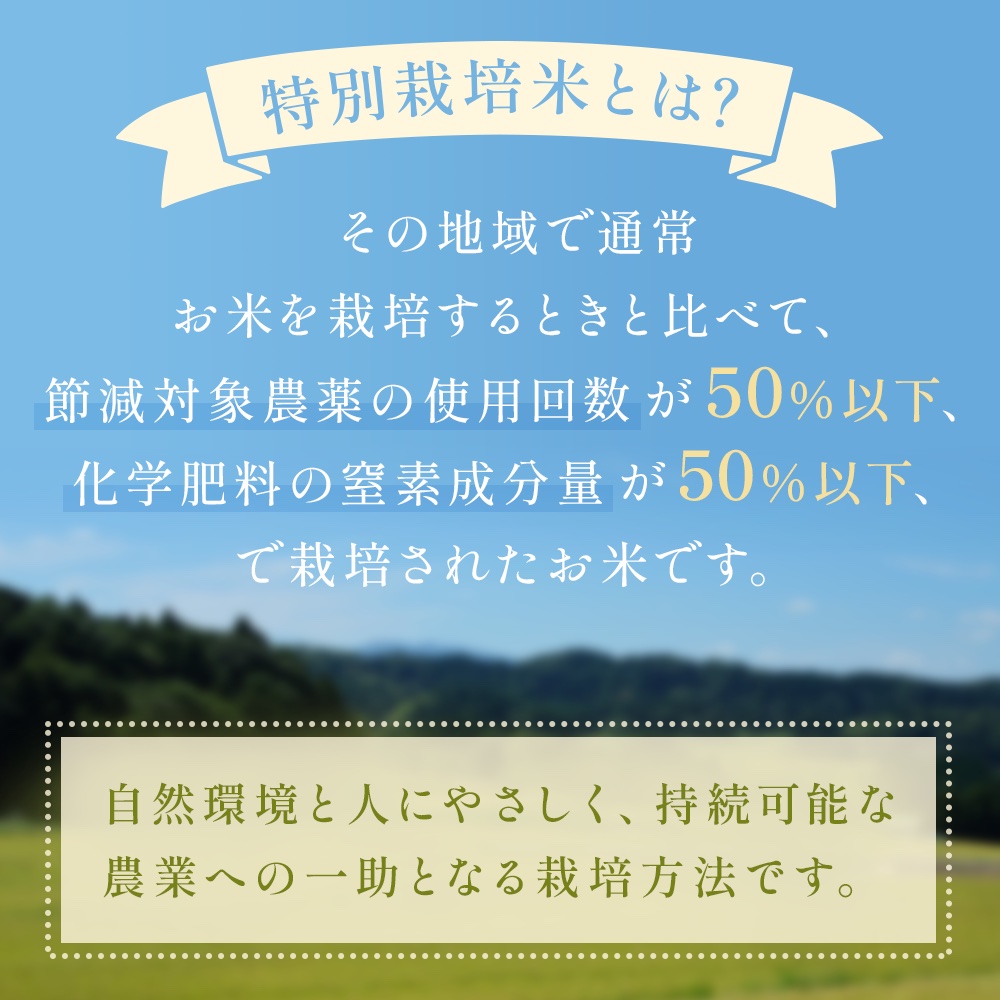 莉、蜥7蟷エ逕」 蟇悟アア逵檎肇 迚ケ蛻・譬ス蝓ケ邀ウ 繧ウ繧キ繝偵き繝ェ 螟ゥ逾槭ョ驥 シ斌g