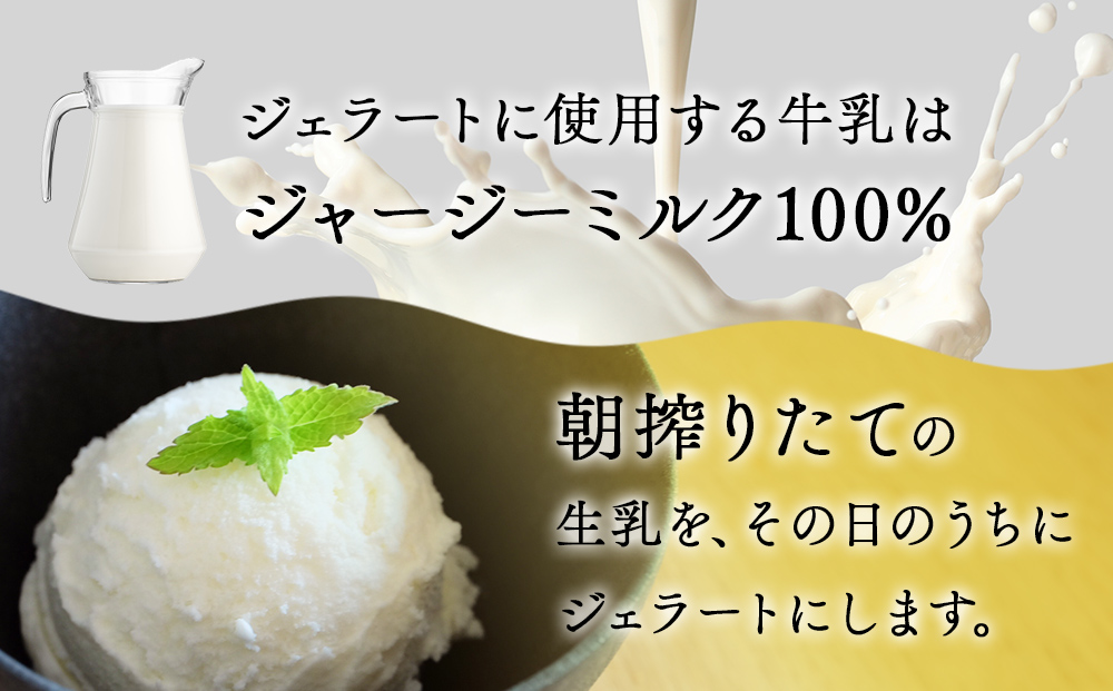 【訳あり プレミアムジェラート】　ジャージーミルク 1L