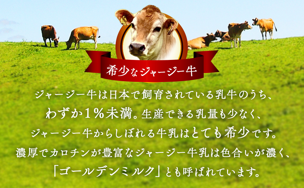 【訳あり プレミアムジェラート】　ジャージーミルク 1L