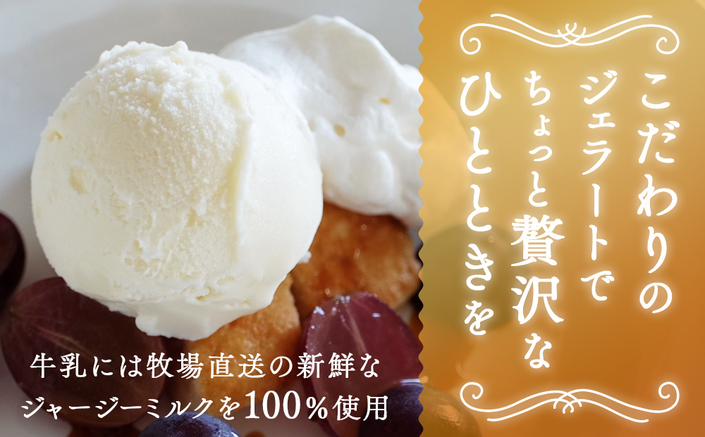【訳あり プレミアムジェラート】　ジャージーミルク 1L