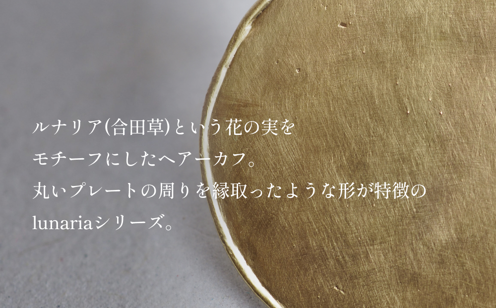 lunaria ãã¢ãŒã«ã å¯å±±ç æ°·èŠåž ã¢ã¯ã»ãµãªãŒ ãã³ãã¡ã€ã å°ç©