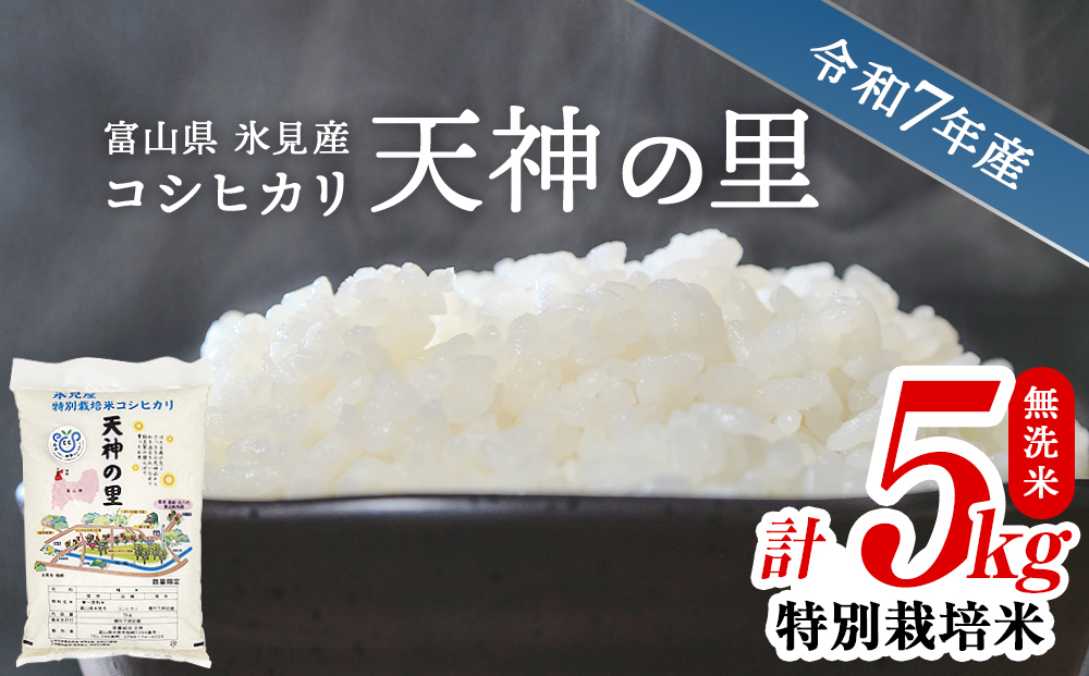 令和7年産 富山県産 特別栽培米 コシヒカリ 天神の里 ５kg  無洗米
