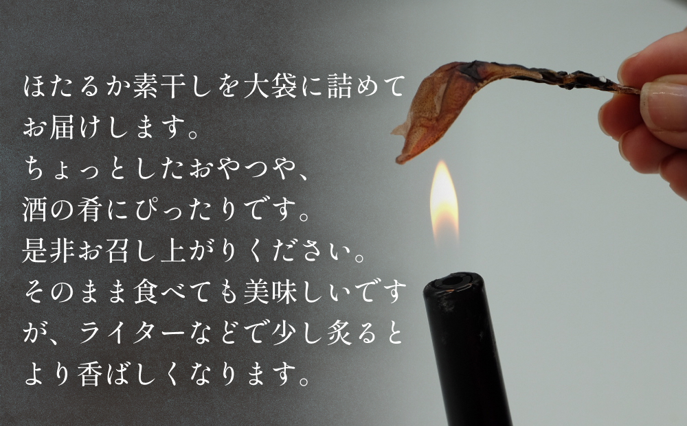縲占ィウ縺ゅj縲代帙ち繝ォ繧、繧ォ邏蟷イ縺100g | 縺サ縺溘k縺縺玖ィウ繧「繝ェ邏蟷イ 迴榊袖 縺、縺セ縺ソ 驟偵ョ閧エ 蟇悟アア 豌キ隕 蟇悟アア貉セ 鬲壻サ 辟。豺サ蜉 邁。蜊倩ェソ逅
