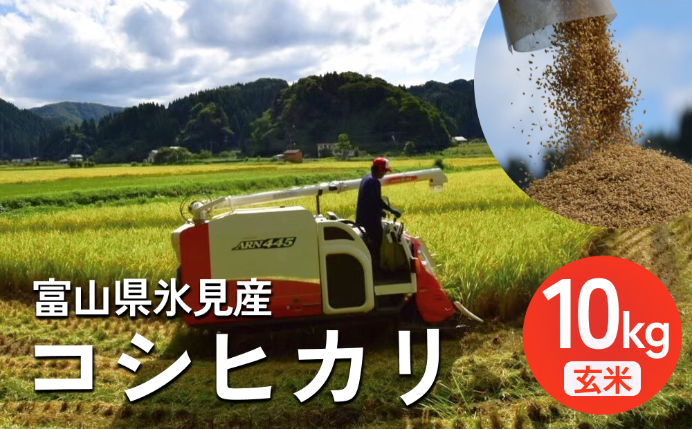 令和7年産 富山県氷見産 コシヒカリ 玄米 10kg ＜2025年10月中旬以降順次発送＞ 富山県 氷見市 米 こしひかり
