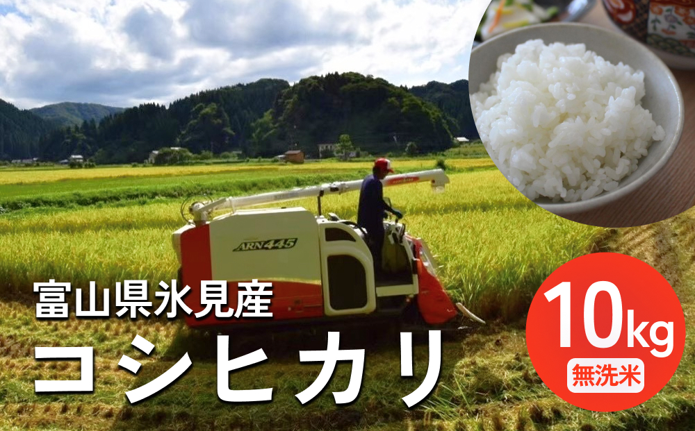 令和7年産 富山県氷見産 コシヒカリ 無洗米 10kg ＜2025年10月中旬以降順次発送＞ 富山県 氷見市 米 こしひかり