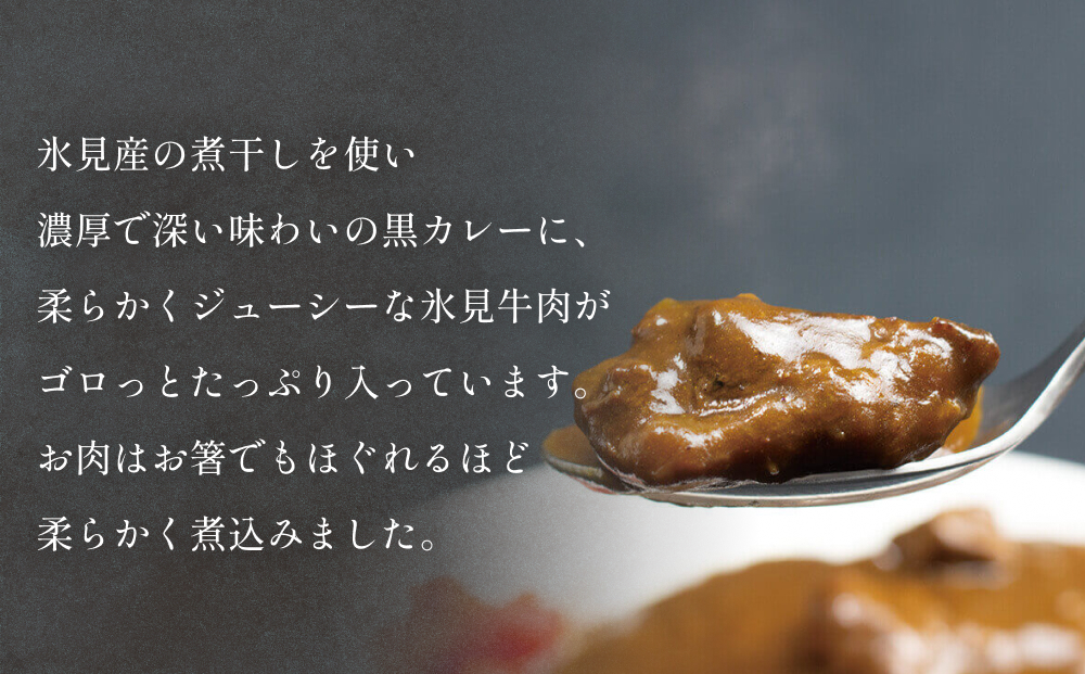 氷見牛カレー（レトルト） １箱 富山県 氷見市 カレー 湯煎 惣菜