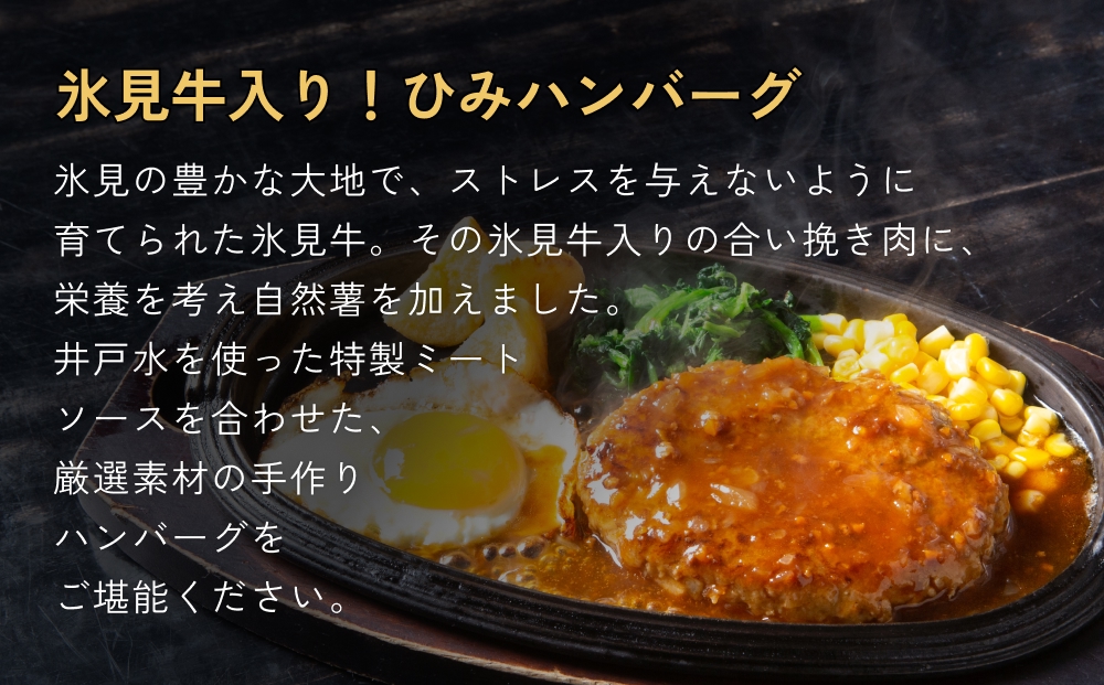 ひみハンバーグと煮干し粉のセット 富山県 氷見市 煮干 惣菜 調味料