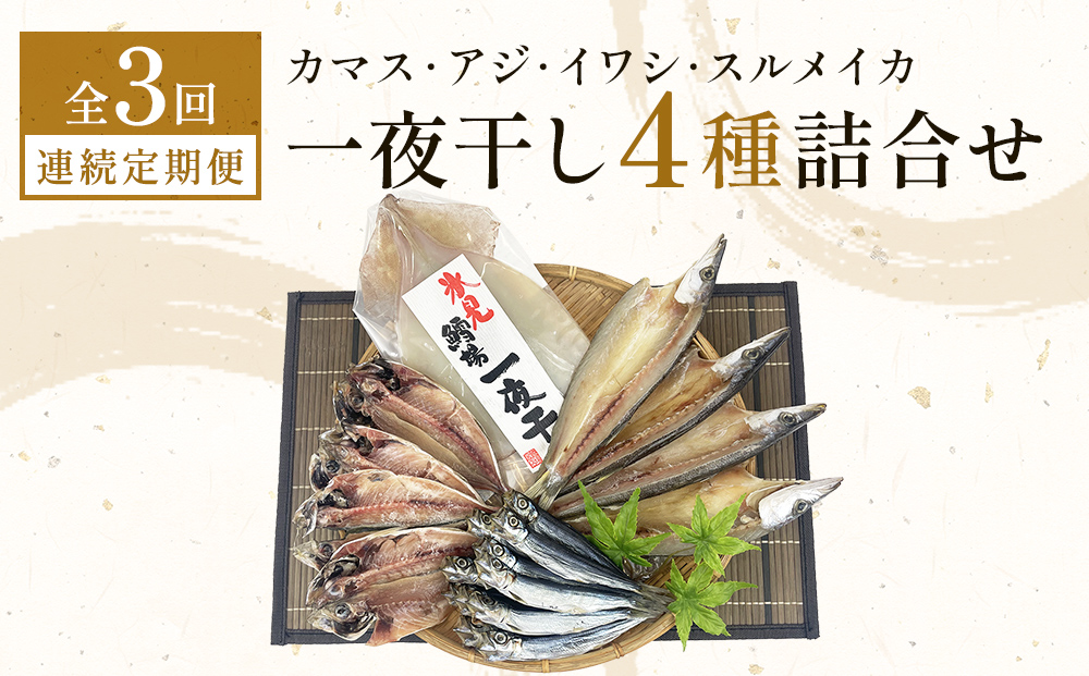 【連続3回】一夜干し4種詰合せ定期便《カマス・アジ・イワシ・スルメイカ》 富山県 氷見市 定期便 干物 かます あじ 鰯 いわし いか おかず 一品
