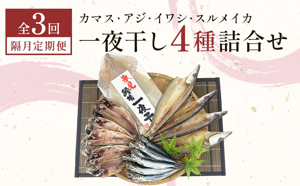 【隔月3回】一夜干し4種詰合せ定期便《カマス・アジ・イワシ・スルメイカ》 富山県 氷見市 定期便 干物 かます あじ 鰯 いわし いか おかず 一品