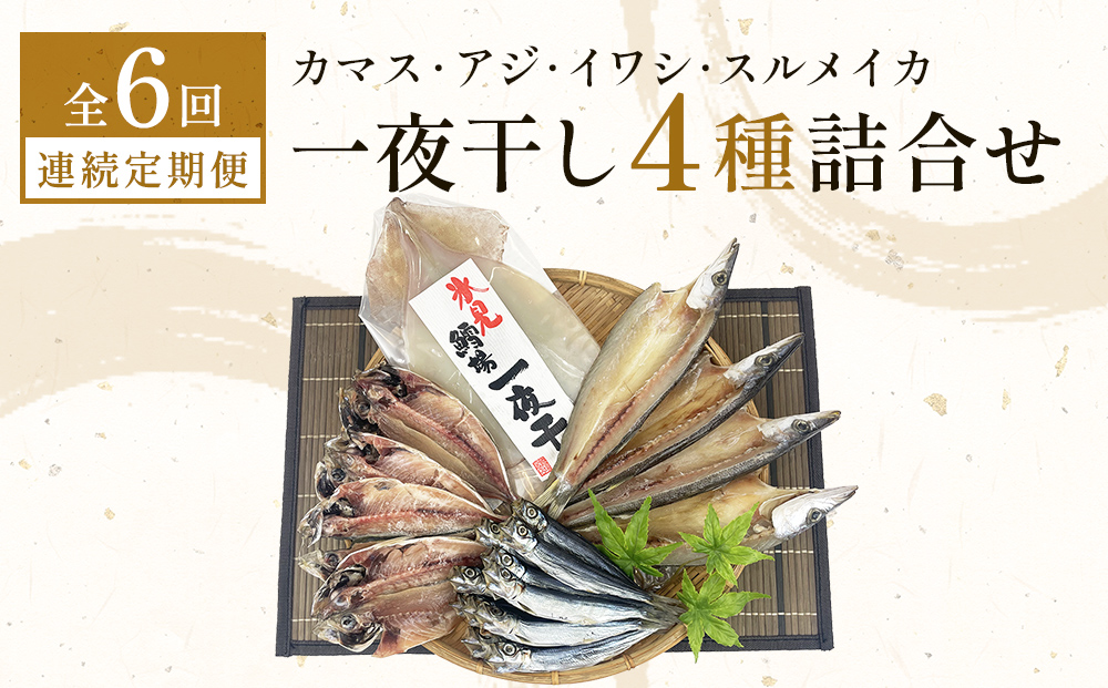 【連続6回】一夜干し4種詰合せ定期便《カマス・アジ・イワシ・スルメイカ》 富山県 氷見市 定期便 干物 かます あじ 鰯 いわし いか おかず 一品
