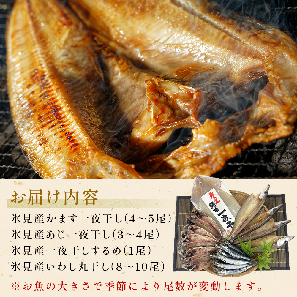 【連続6回】一夜干し4種詰合せ定期便《カマス・アジ・イワシ・スルメイカ》 富山県 氷見市 定期便 干物 かます あじ 鰯 いわし いか おかず 一品