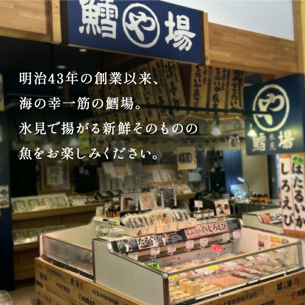 【連続6回】一夜干し4種詰合せ定期便《カマス・アジ・イワシ・スルメイカ》 富山県 氷見市 定期便 干物 かます あじ 鰯 いわし いか おかず 一品