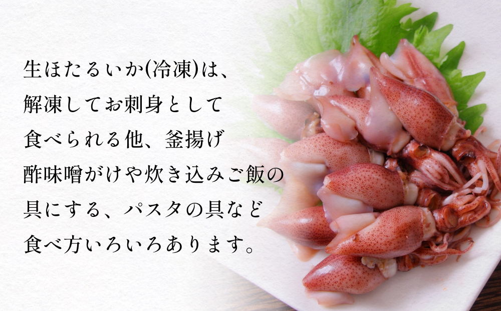 生ほたるいか冷凍5袋セット 富山県 氷見市 ホタルイカ 冷凍 刺身
