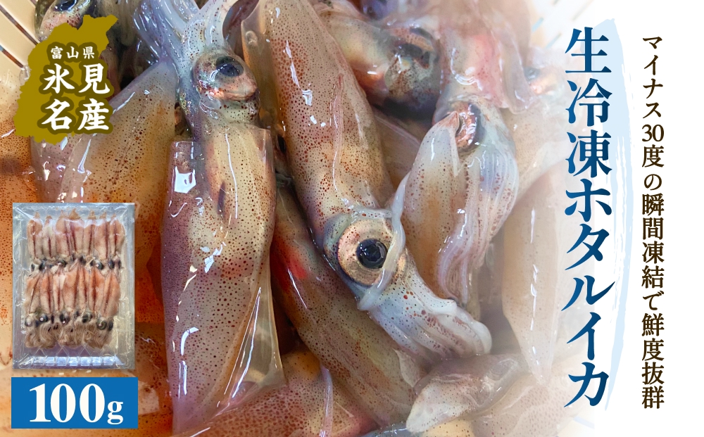 生冷凍ホタルイカ（凍眠） 100g 富山県 氷見市 ほたるいか しゃぶしゃぶ 冷凍