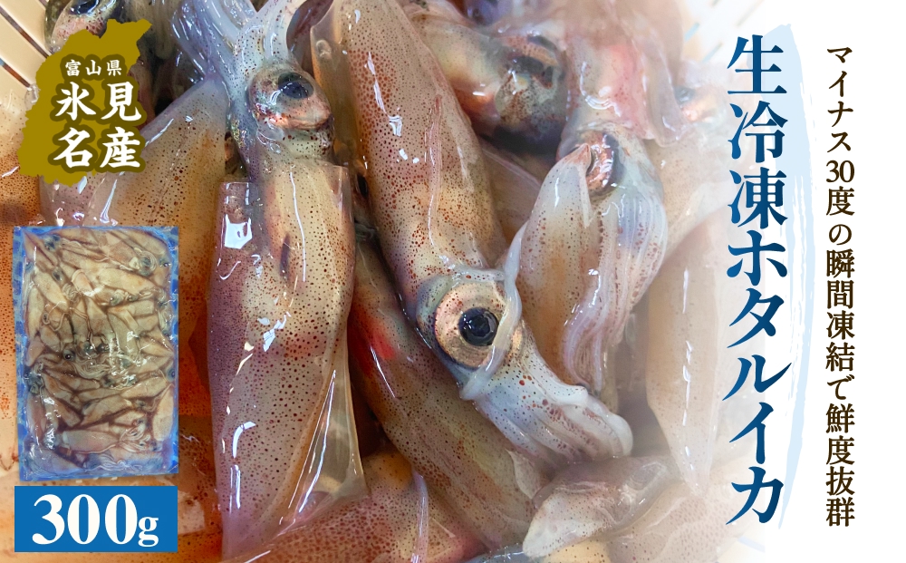 生冷凍ホタルイカ（凍眠） 300g 富山県 氷見市 ほたるいか しゃぶしゃぶ 冷凍