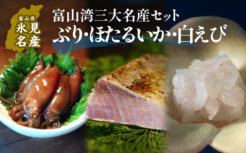 富山湾三大名産ぶり・ほたるいか・白えびのセット 富山県 氷見市 白エビぶり ほたるいか 冷凍 おかず