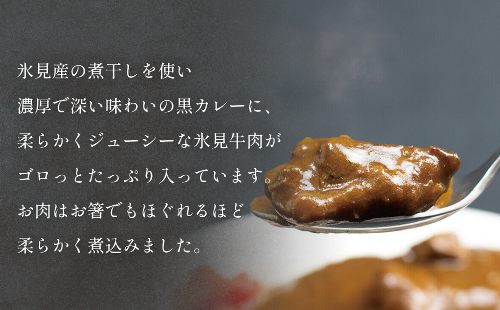 氷見牛カレー（レトルト） 10箱 富山県 氷見市 カレー 湯煎 惣菜