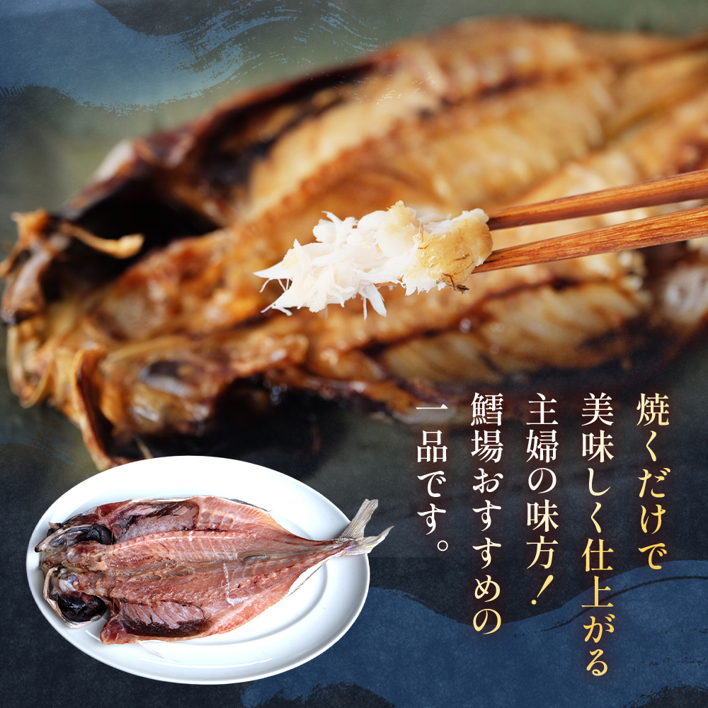 【隔月6回定期便】【訳あり】あじの干物（約30cm）12枚  富山県 氷見市 アジ 魚 干物 開き