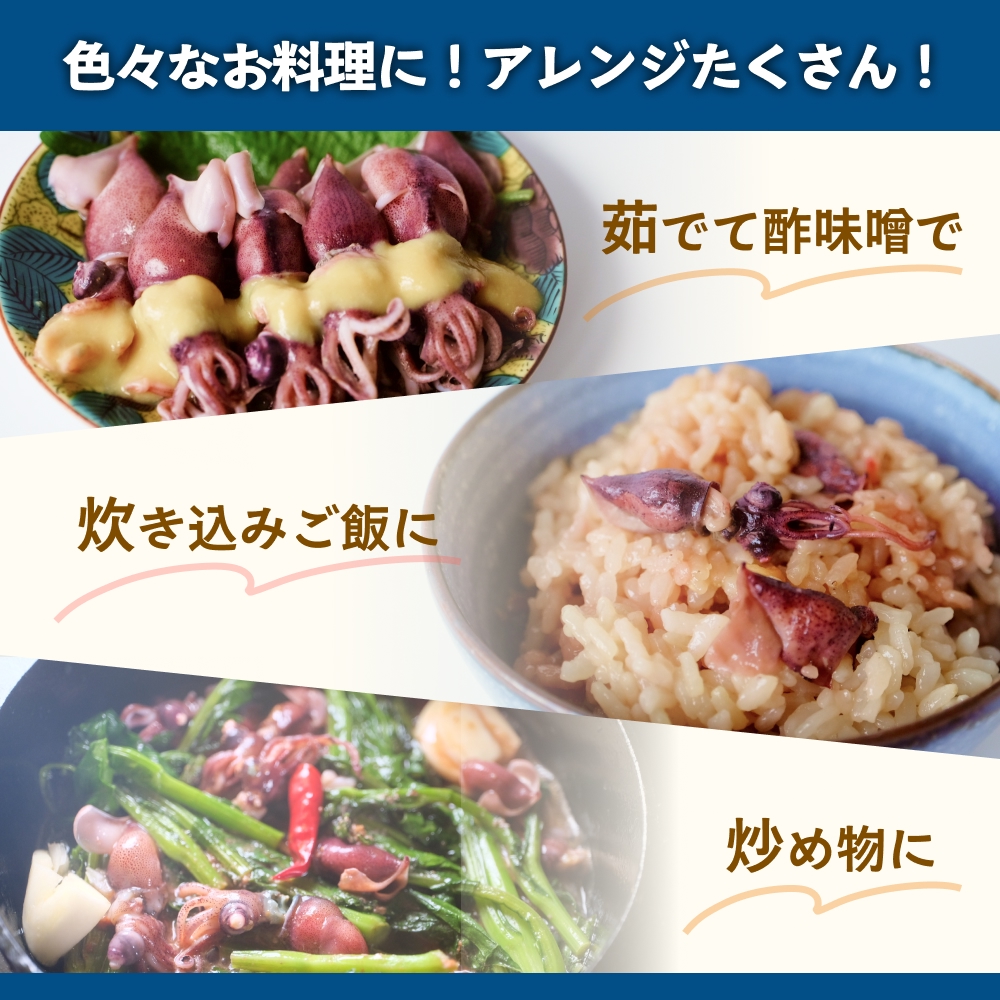 鮮度そのまま！富山湾の神秘ホタルイカ しゃぶしゃぶ用 200g 〈冷凍〉