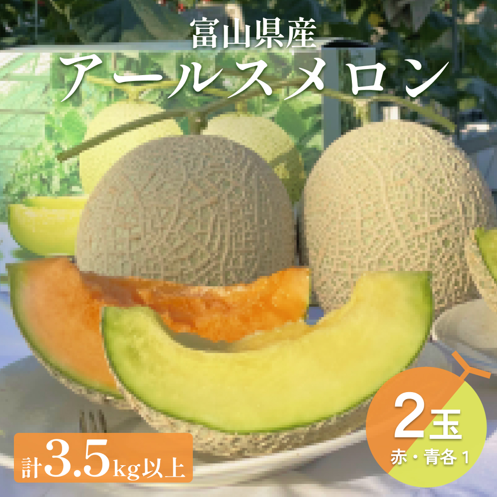 〈先行予約〉 アールスメロン 2個セット 計3.5kg以上（青肉１個、赤肉１個） ＜2026年6月下旬以降発送＞ 【贈答用】【秀品】