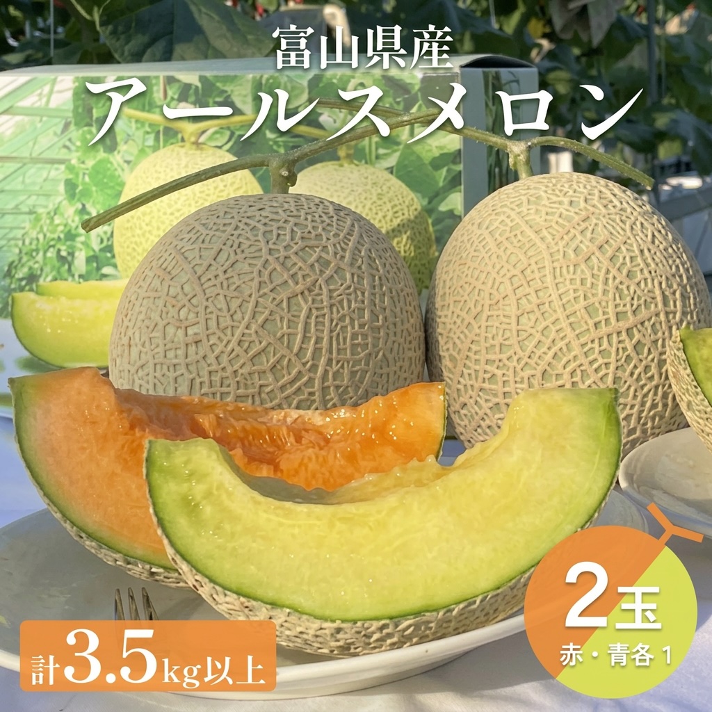 〈先行予約〉 アールスメロン 2個セット 計3.5kg以上（青肉１個、赤肉１個） ＜2026年6月下旬以降発送＞ 【贈答用】【秀品】