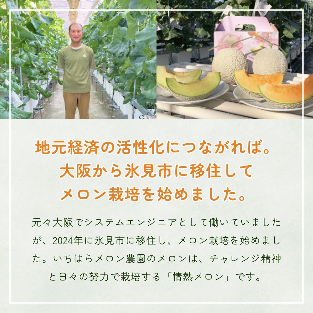 〈先行予約〉 アールスメロン 2個セット 計3.5kg以上（青肉１個、赤肉１個） ＜2026年6月下旬以降発送＞ 【贈答用】【秀品】