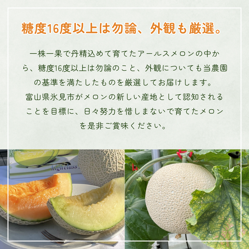 〈先行予約〉 アールスメロン 2個セット 計3.5kg以上（青肉１個、赤肉１個） ＜2026年6月下旬以降発送＞ 【贈答用】【秀品】