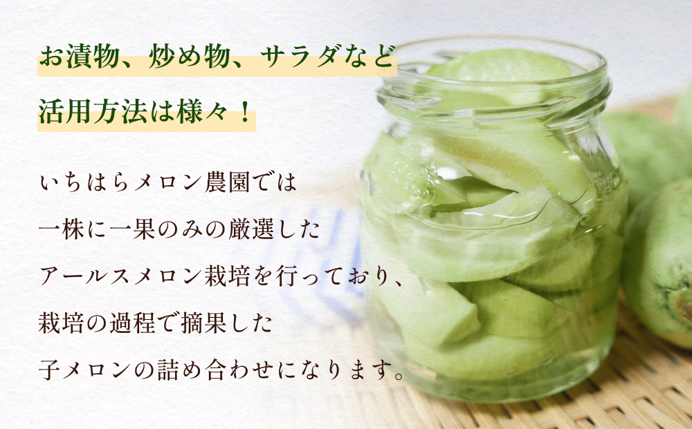〈先行予約〉 子メロン （アールスメロンの摘果メロン） 4kg以上 ＜2026年5月中旬以降発送＞【お漬物に】【お料理に】 