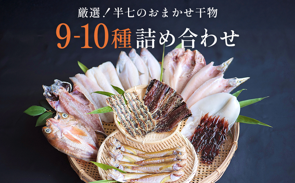 厳選！半七のおまかせ干物 詰め合わせセット（9-10種） 富山県 氷見市 干物 おかず 魚 一品